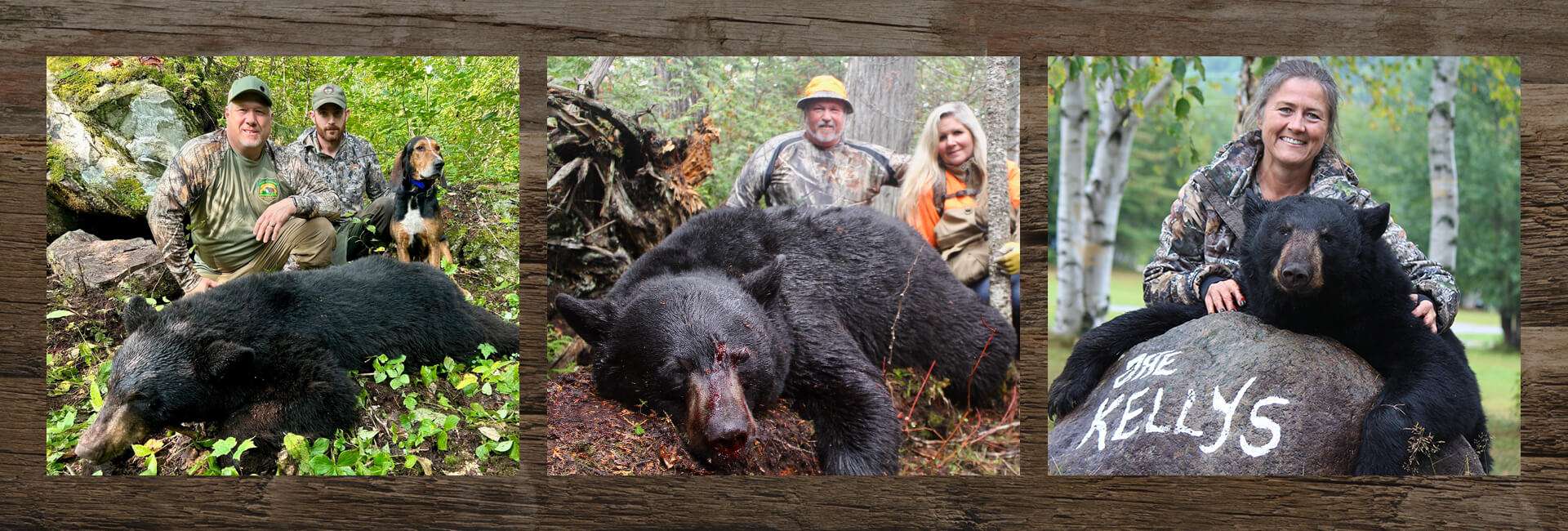 Guided Maine Black Bear Hunts in Allagash Guided Maine Black Bear Hunts in Allagash