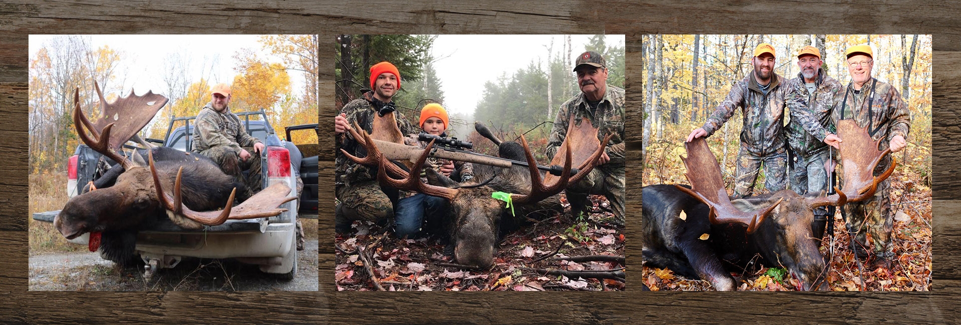 Northern Maine Moose Hunts in Allagash Northern Maine Moose Hunts in Allagash